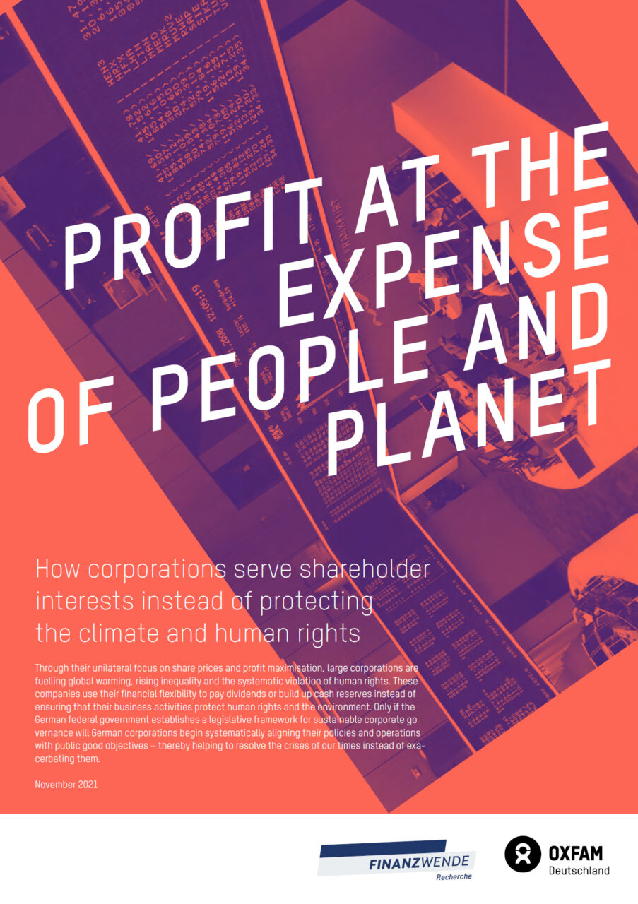 Study on the financial model of DAX 30 companies in the light of the ecological and social transition