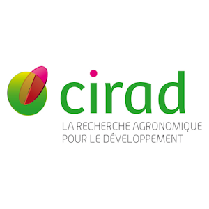 Cirad