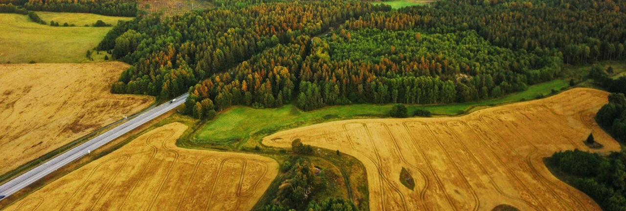 Un guide pour analyser le système alimentaire d’un territoire