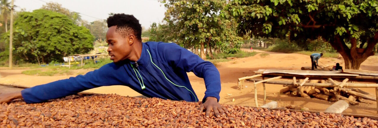 Les incertitudes derrière les prix choc du cacao